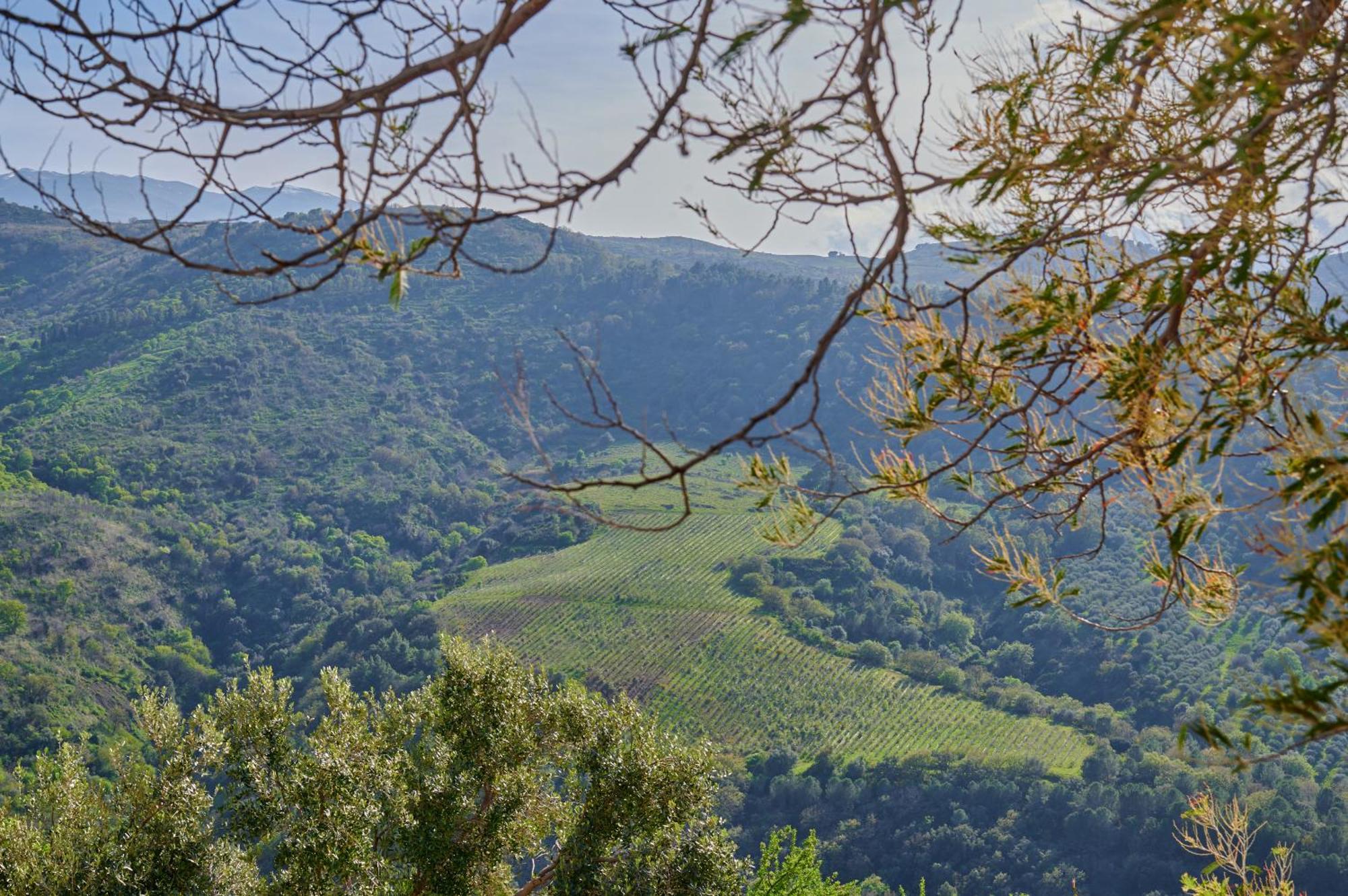 Tenuta Luogo Marchese Pollina Exteriér fotografie